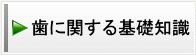 歯に関する基礎知識
