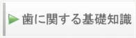 歯に関する基礎知識